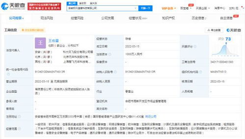 科大訊飛安徽再落兩子，千萬元級(jí)新公司聚焦AI基礎(chǔ)軟件研發(fā)
