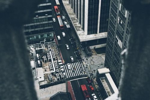 人工智能產業迎來政策東風，基礎軟件開發面臨人才瓶頸