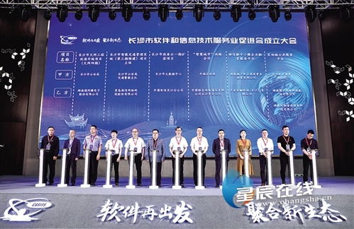 長沙軟件和信息技術服務企業速看 政府政策紅利集中釋放