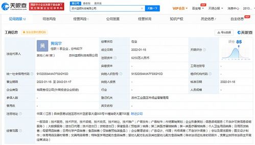 藍(lán)色光標(biāo)投資成立藍(lán)顏科技公司,注冊(cè)資本6250萬(wàn)