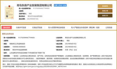 網(wǎng)傳&ldquo;化債&rdquo;的青島東鼎集團(tuán)成立了:注冊(cè)資本100億 從事投資活動(dòng)